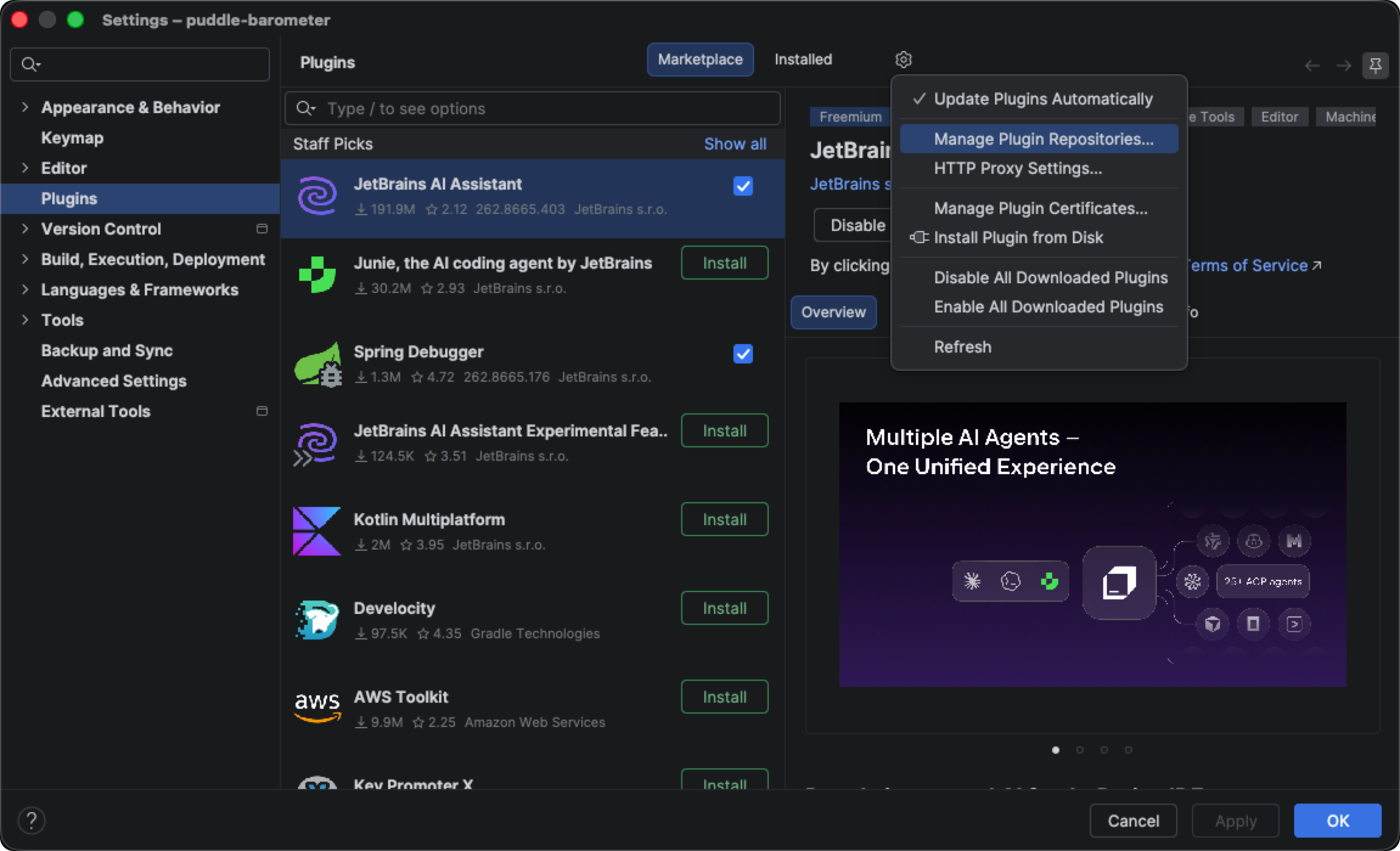 JetBrains Plugins settings with Manage Plugin Repositories selected from the gear menu